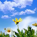 ���� ��������, ��������, 22 ���� - ��������� 14 ������ 2013 � ������ ������ ��������