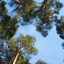 ���� ������, �����-��������� - ��������� 10 ��� 2011 � ������ ���� ����������