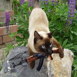 ����, ����, 26 ���