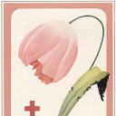  , , 59  -  17  2011   