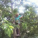 ���� ����, �����������, 51 ��� - ��������� 25 ���� 2012 � ������ ���� ����������