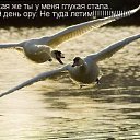 ���� ����� - ���������� ��������!!!, �����������, 56 ��� - ��������� 13 ������� 2009 � ������ ��������� ����һ