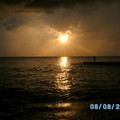  , , 66  -  22  2011   PetLove