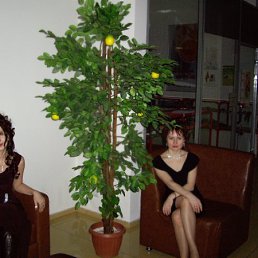 ������, �����������, 46 ���