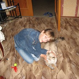 ���� ������, �������, 71 ��� - ��������� 12 ���� 2013