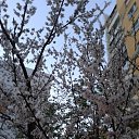 �� ����� �� ������� �������