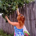 ���� ������, ������ ��������, 30 ��� - ��������� 26 �������� 2012 � ������ ���� ����������