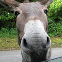 "����������" ����������� � ������ �� ������� �������� 08.2011�