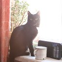 ���� ����������))), ������������, 65 ��� - ��������� 8 ������ 2011 � ������ ���� ����������