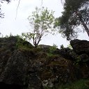  Serzh Van Der Maaremaan,  -  19  2010   ׸ 