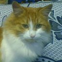 ���� ����, ���� - ��������� 15 ������ 2011 � ������ ������)))�