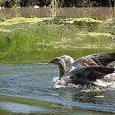 ���� �����, ��������, 45 ��� - ��������� 3 ������� 2010 � ������ ����� �������