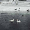 ������� �� ���������� �� ������� �� ��� ��� � ���