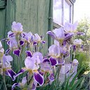 ���� ������, ������, 63 ���� - ��������� 6 ����� 2012 � ������ ���� ������