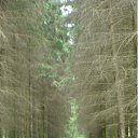 ���� Nik, ������, 53 ���� - ��������� 10 ����� 2012