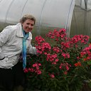 ���� ������, �����-���������, 64 ���� - ��������� 3 �������� 2012 � ������ ���� ����������