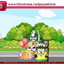  , , 48  -  24  2010   PetLove