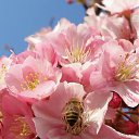 ���� Svetlana, ������, 59 ��� - ��������� 4 ������ 2011 � ������ ���� �������� �������