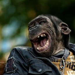 ���� ���������, �����-���������, 40 ��� - ��������� 15 ������� 2011