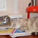 ������ ����,� �� ������ ����:)))) �� ������� ����� ��� ������������