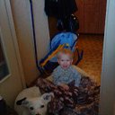 ���� ������, ����-�������, 41 ��� - ��������� 4 ������� 2010 � ������ ���� ��������