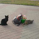 ���� &deg;&bull;*������&deg;&bull;*, ����������, 23 ���� - ��������� 13 ��� 2010 � ������ �������� ��� ��!!!�