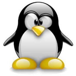 ��������, ����, 51 ���