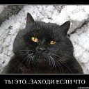 ���� �������, �������, 106 ��� - ��������� 19 ������� 2011 � ������ ���� ����������