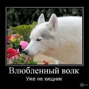 ���� ��������, ������, 36 ��� - ��������� 16 ������� 2012 � ������ ���� ����������