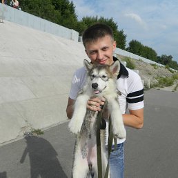 ����, ���������, 37 ���