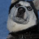 ���� �������, ������������, 42 ���� - ��������� 1 ����� 2012 � ������ ���� ����� � ���-�������.�