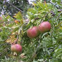 ���� Toryst, �����-���������, 53 ���� - ��������� 22 �������� 2010 � ������ ����� ������� �������� ���� - ������� ������!�