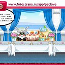 ���� ����, ������, 34 ���� - ��������� 7 ������� 2010 � ������ �PetLove�