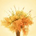 ���� ����� - ���������� ��������!!!, �����������, 56 ��� - ��������� 16 ������ 2010 � ������ ������ۻ