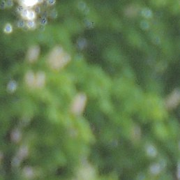 �������, ��������, 61 ���