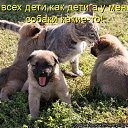 ���� �������, ������, 71 ��� - ��������� 28 ������� 2011 � ������ ���� �������� �����������