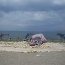   , , 43  -  3  2010    2010