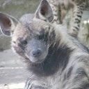 ���� ������, �����������, 62 ���� - ��������� 27 ������� 2011