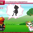���� ������, ��������, 46 ��� - ��������� 2 ������ 2010 � ������ �PetLove�