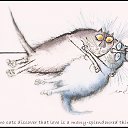 ���� ����, ������� - ��������� 10 ������ 2010 � ������ �������������