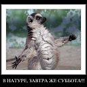 ���� �������, ���������, 40 ��� - ��������� 28 ������ 2012 � ������ ���� ����������