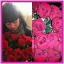 ���� ����-��������, ������, 39 ��� - ��������� 4 ��� 2013