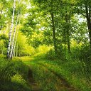 �. ������ ���. ���. ������ �� ������� �������