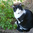 ���� �������, ��������, 63 ���� - ��������� 1 ���� 2013 � ������ ����� ��� ������������