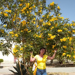 ���� ��������, ����, 60 ��� - ��������� 10 ������ 2013