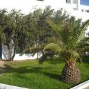 ���� Ser, �����-���������, 46 ��� - ��������� 14 �������� 2010 � ������ ���� ����������