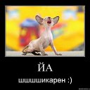 ���� �����, ������������ - ��������� 17 ���� 2010 � ������ ��������