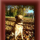 ���� ���, ������ - ��������� 16 ������� 2011 � ������ ���� ����������