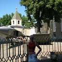 ���� ����, ����������, 42 ���� - ��������� 14 �������� 2011 � ������ ���� ����������