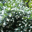 ���� Tatyana, ������, 55 ��� - ��������� 8 ���� 2012 � ������ ���� ����������